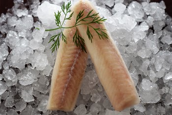 Alaska Pollock Loins MSC 160/220